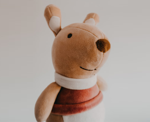 PRODUCTS_HOST_plush toy